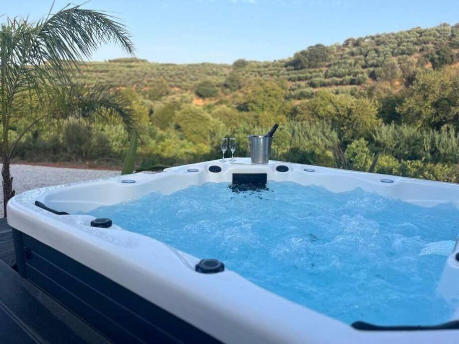 Ek Ornelakis, Luxury Country House With Jacuzzi ハニア エクステリア 写真